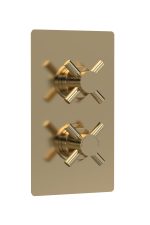 Twin Thermostatic Shower Valve With Diverter