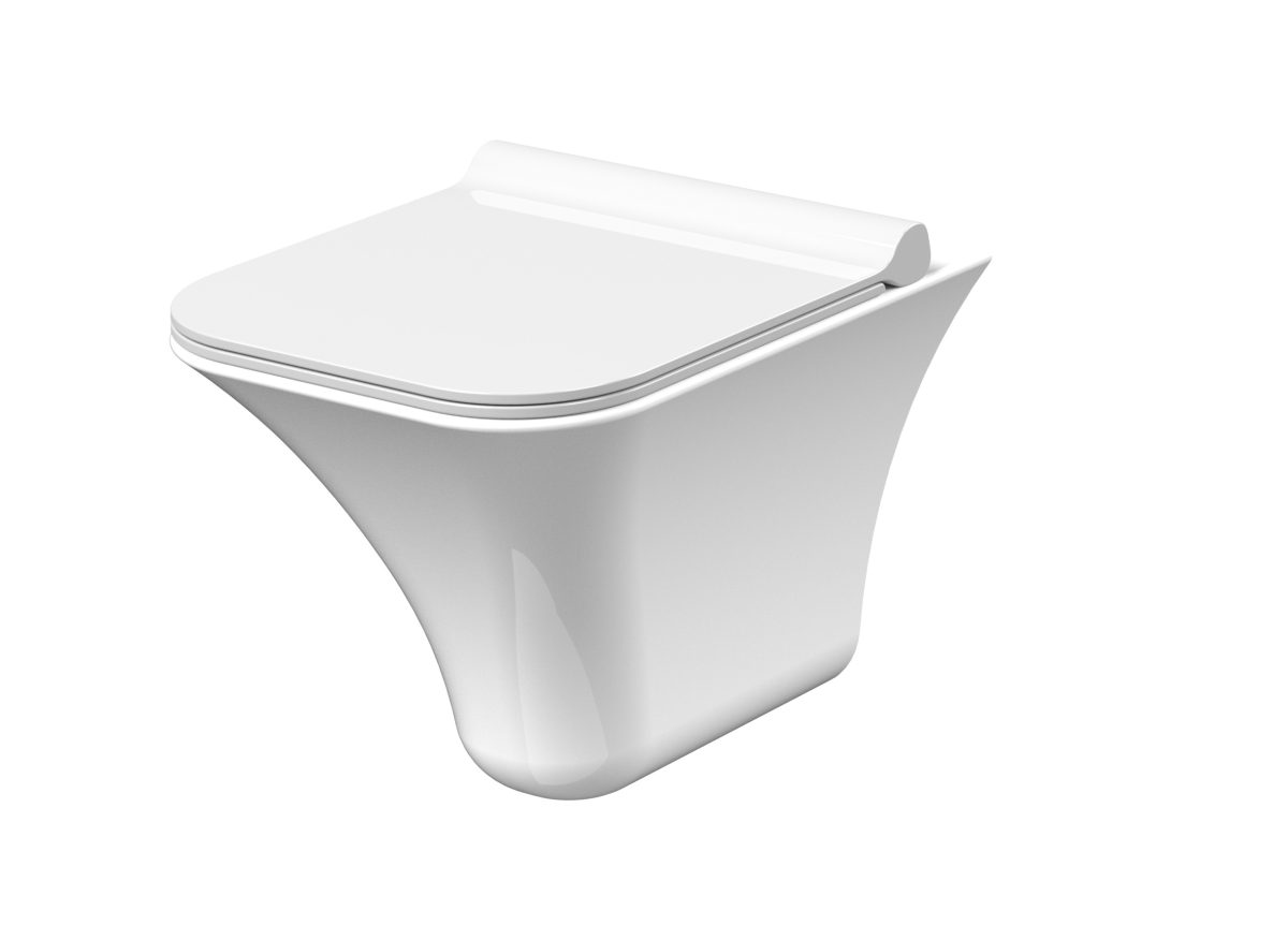 Rimless Wall Hung Pan & Seat - Image 1