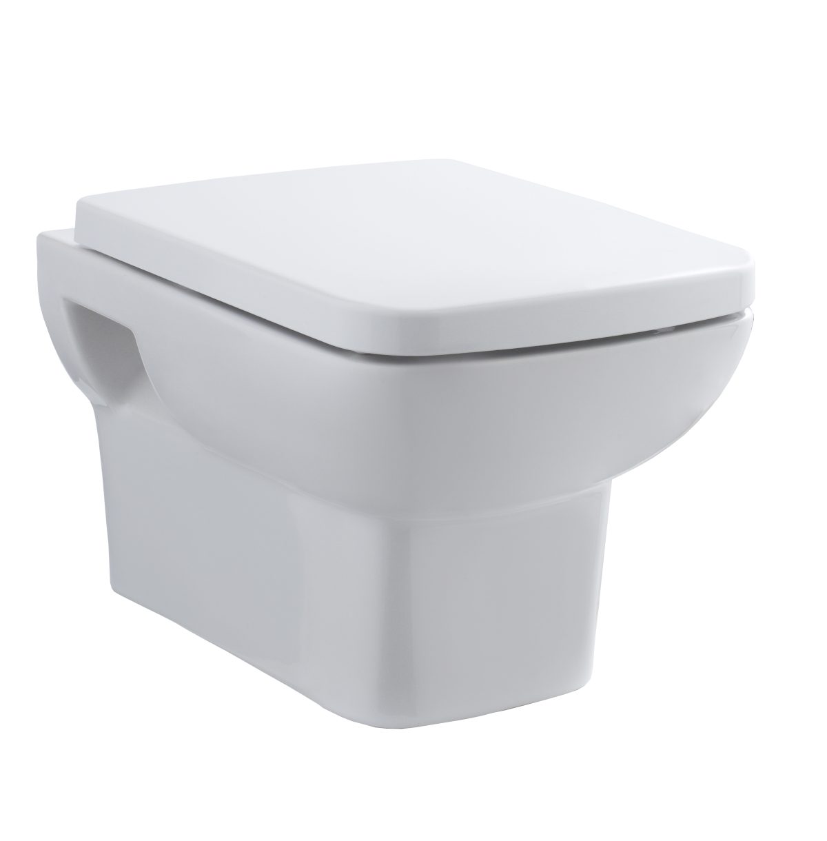 Wall Hung Pan & Seat - Image 1