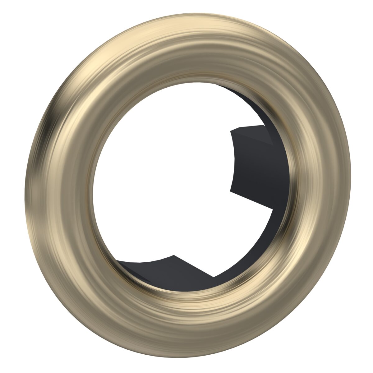 Brushed Brass Overflow Cover - Image 1