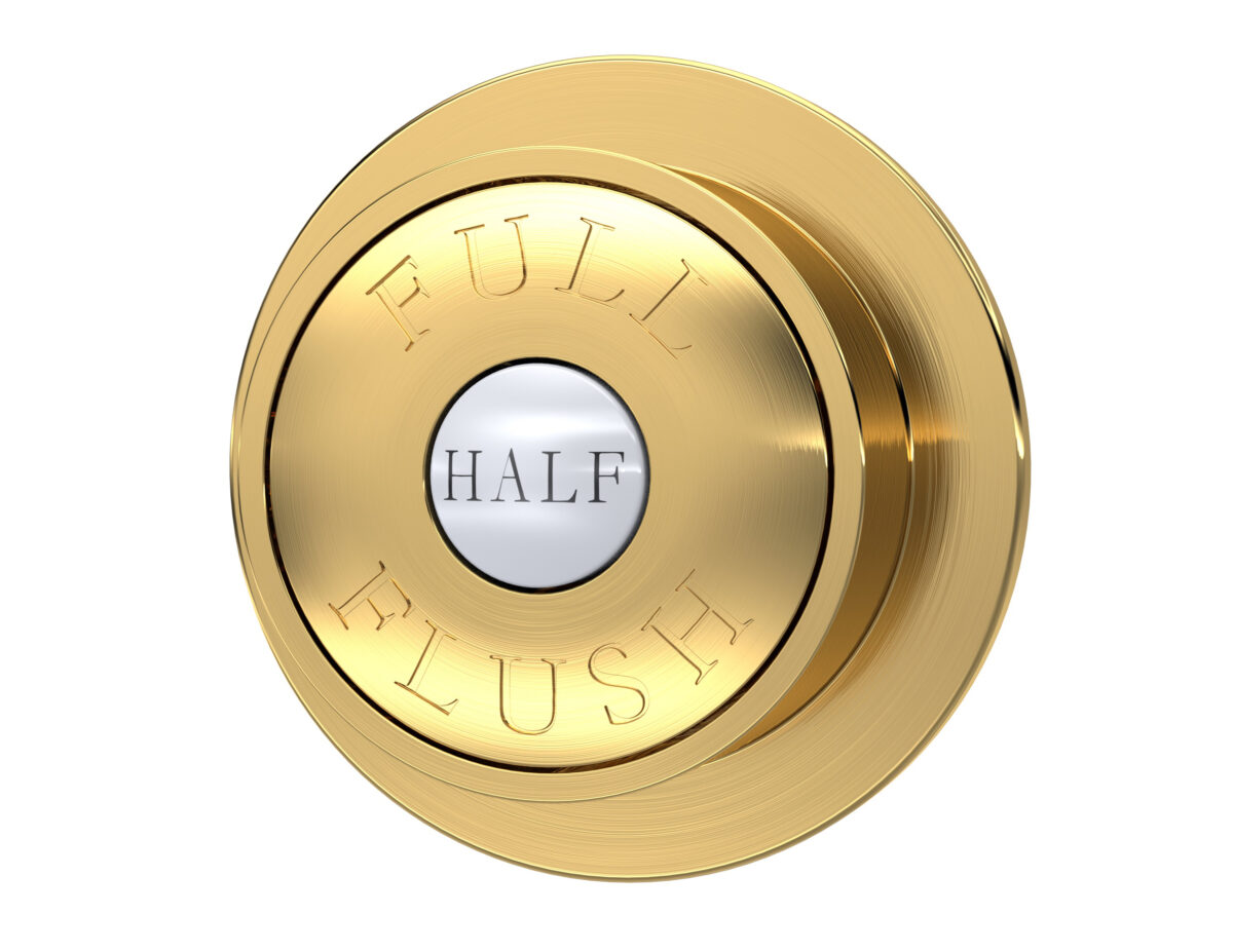 Brushed Brass Dual Flush Button - Image 1