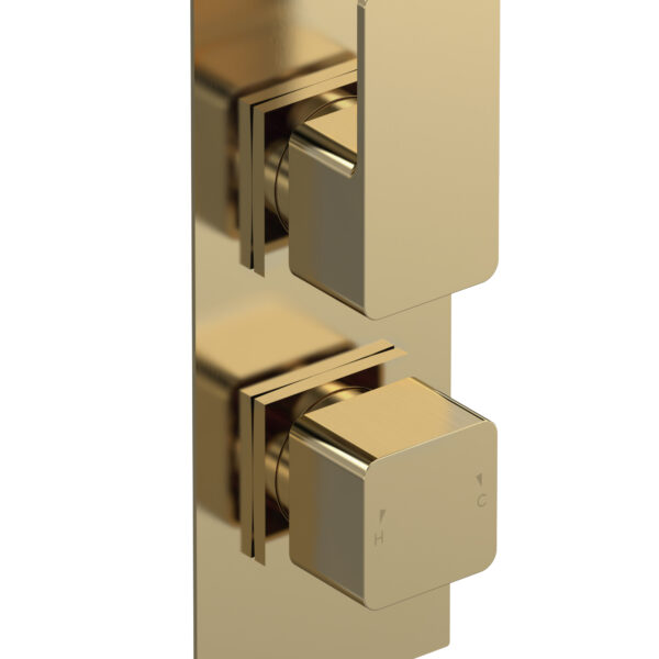 Twin Thermostatic Valve With Diverter