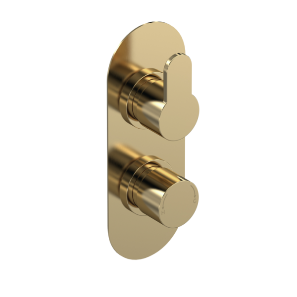 Arvan Brushed Brass Twin Thermostatic Shower Valve-1 outlet