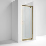 Rene 6mm Brushed Brass Pivot Door