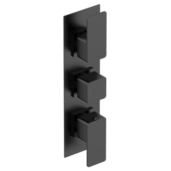 Windon Matt Black  Triple Thermostatic Shower Valve With Diverter-3 outlet