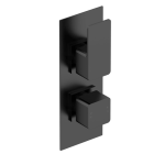 Windon Matt Black  Twin Thermostatic Shower Valve With Diverter-2 outlet