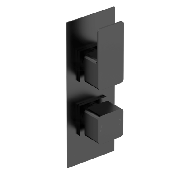 Windon Matt Black  Twin Thermostatic Shower Valve With Diverter-2 outlet