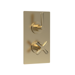 Aztec Brushed Brass Twin Thermostatic Shower Valve With Diverter-2 Outlet