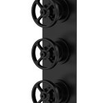 Revolution Black-Two Outlet Thermostatic