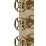 Revolution Brushed Brass Triple Thermostatic Shower Valve With Diverter-3 Outlet