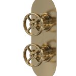 Revolution Brushed Brass Twin Thermostatic Shower Valve With Diverter-2 Outlet