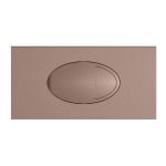 Bronze Large Dual Flush Plate & Access Panel For Use With Cistern003W & Cistern002W