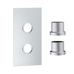 Shower Concealed Plate with Sleeves (2 outlet)