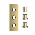 Shower Concealed Plate with Sleeves (3 outlet) - Image 3